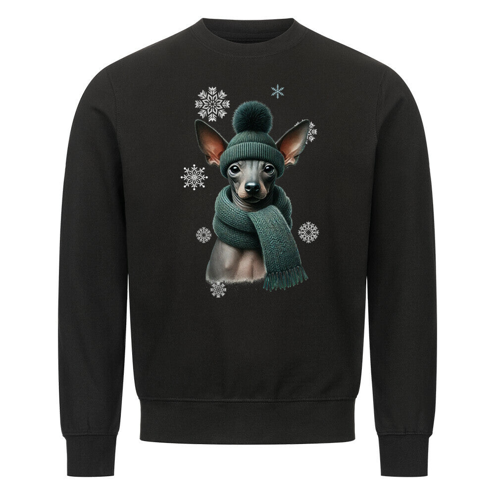 Premium Sweatshirt "Xolo Winter" Schwarz – hunde-shirt.de