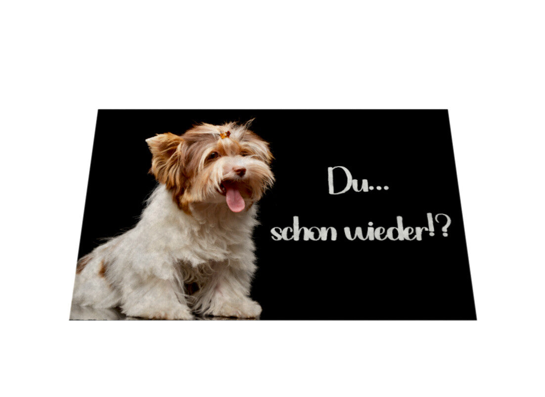 Fußmatte "Biewer Terrier - Du... schon wieder!?" – hunde-shirt.de