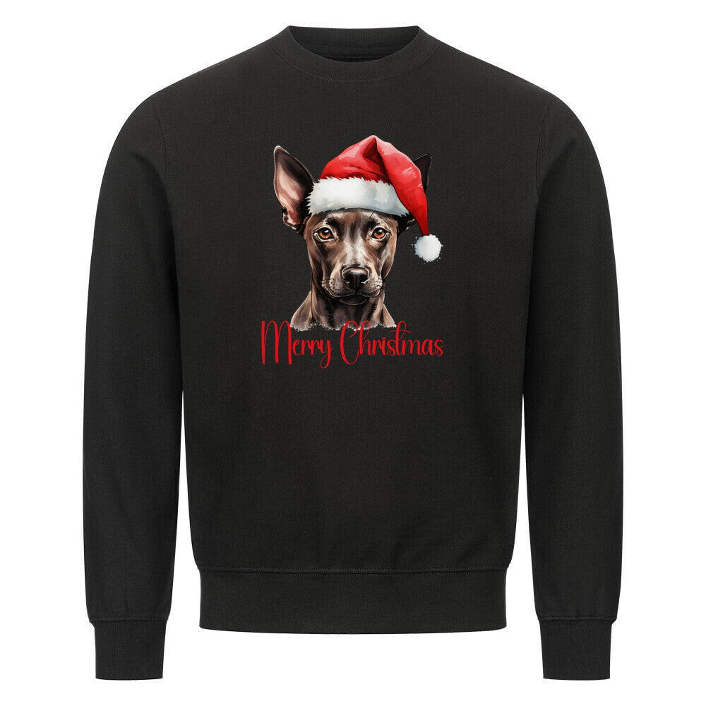 Premium Sweatshirt "Xolo - Merry Christmas" Schwarz – hunde-shirt.de