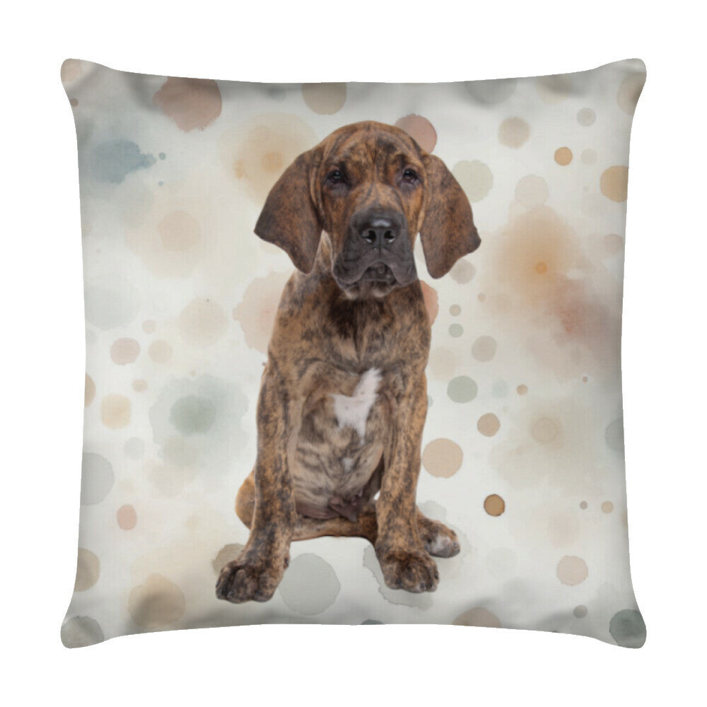 Kissen "Fila Brasileiro - Puppy" Weiß – hunde-shirt.de