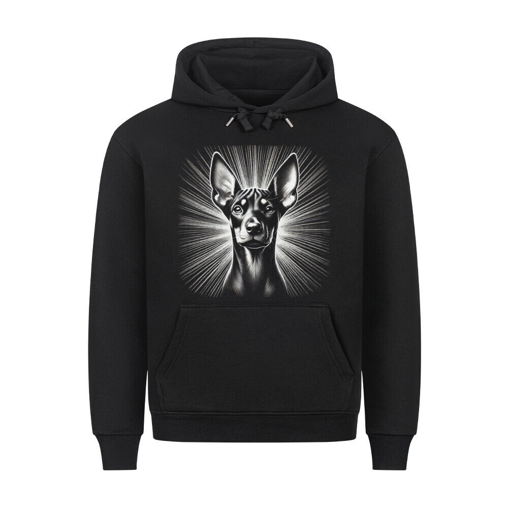 Premium Hoodie "Deutscher Pinscher - Star" Schwarz – hunde-shirt.de