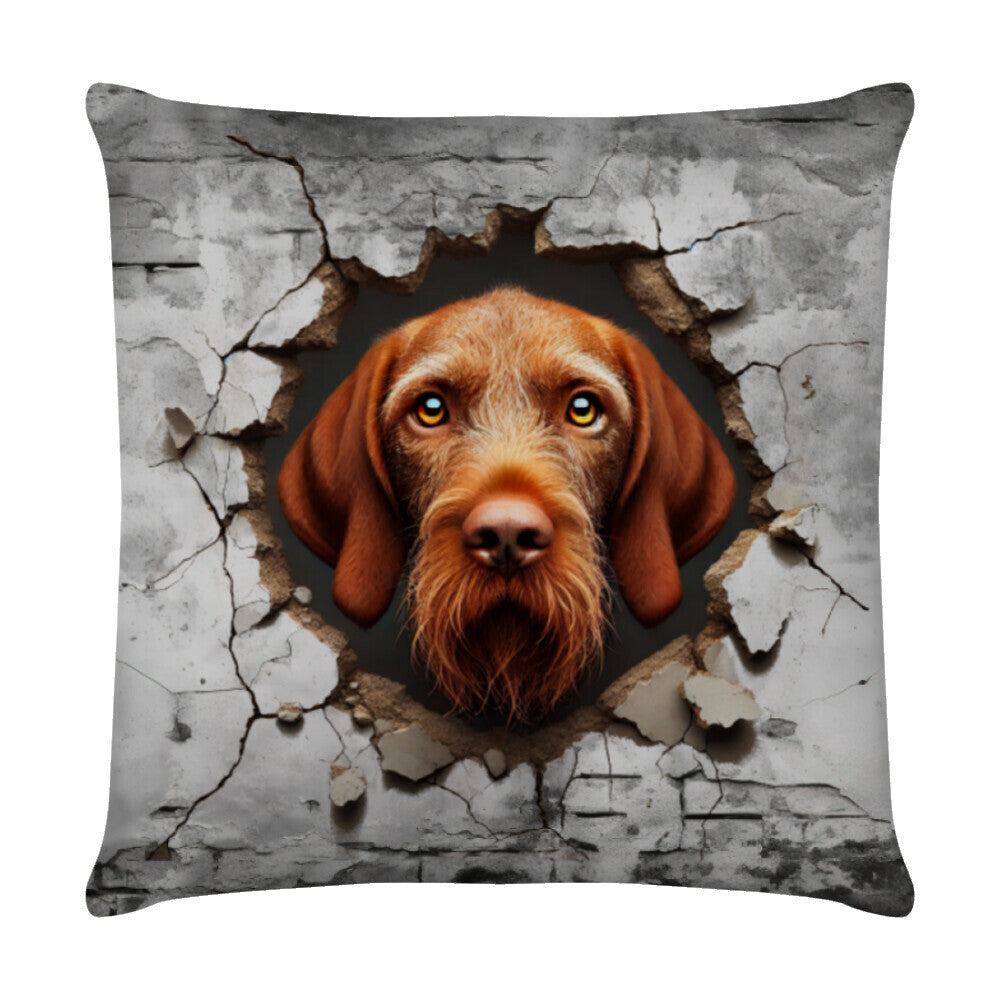 Kissen "Drahthaar Vizsla - Look" Weiß – hunde-shirt.de