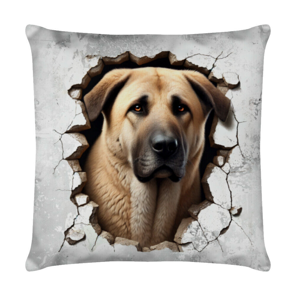 Kissen "Kangal - Look" Weiß – hunde-shirt.de