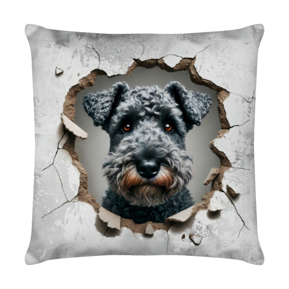Kissen "Kerry Blue Terrier - Look" Weiß – hunde-shirt.de