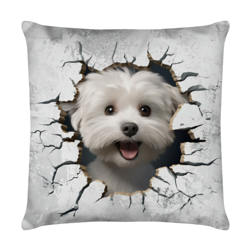 Kissen "Malteser - Look" Weiß – hunde-shirt.de