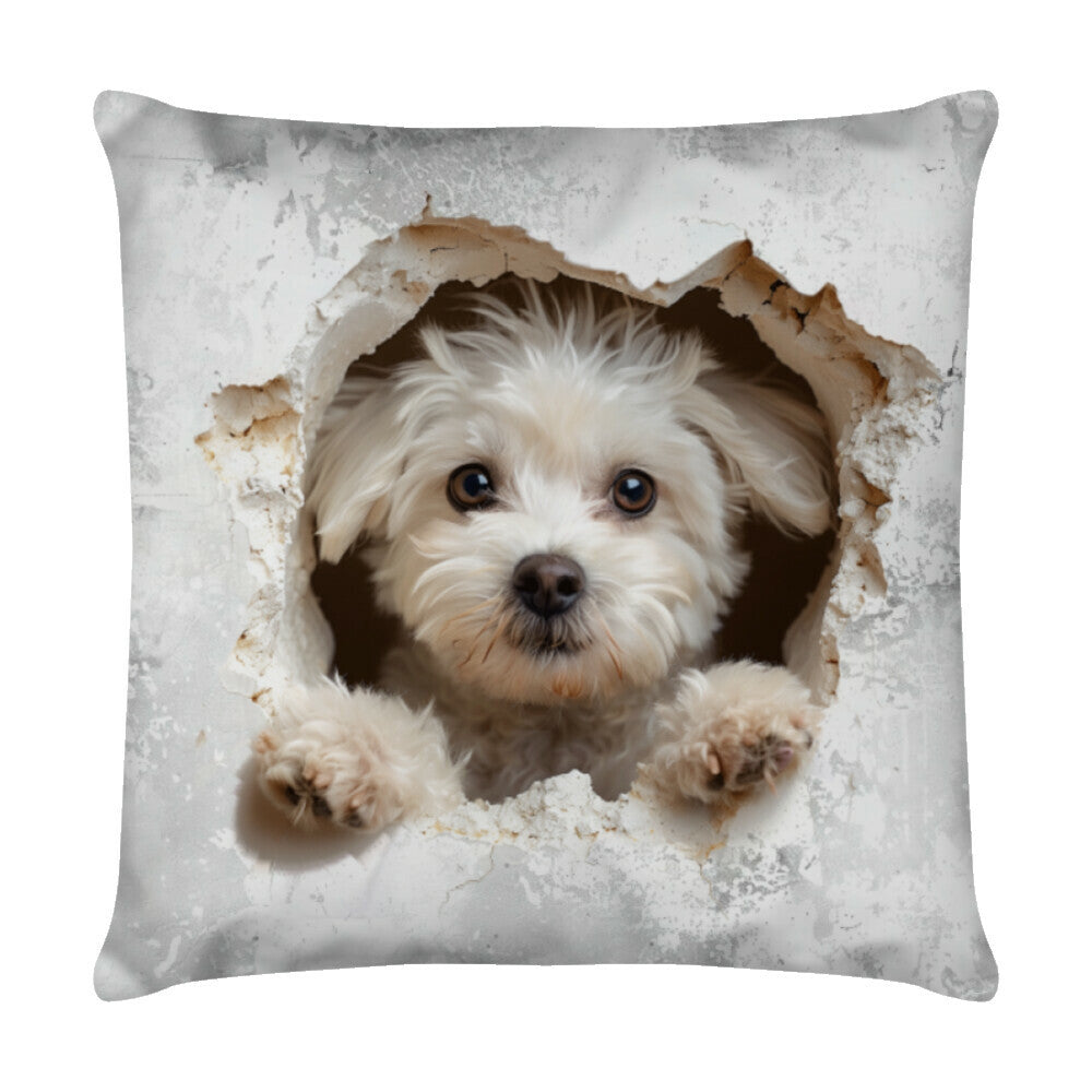 Kissen "Maltipoo - Look II" Weiß – hunde-shirt.de