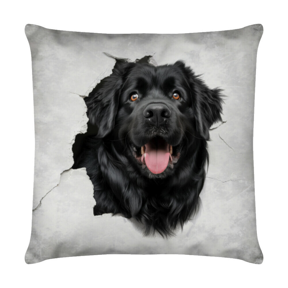 Kissen "Neufundländer - Look II" Weiß – hunde-shirt.de