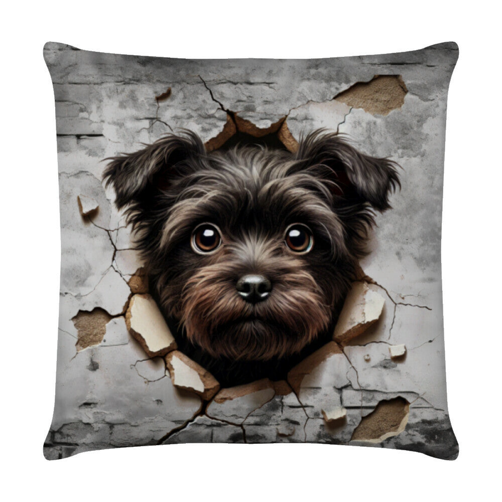Kissen "Affenpinscher - Look" Weiß – hunde-shirt.de