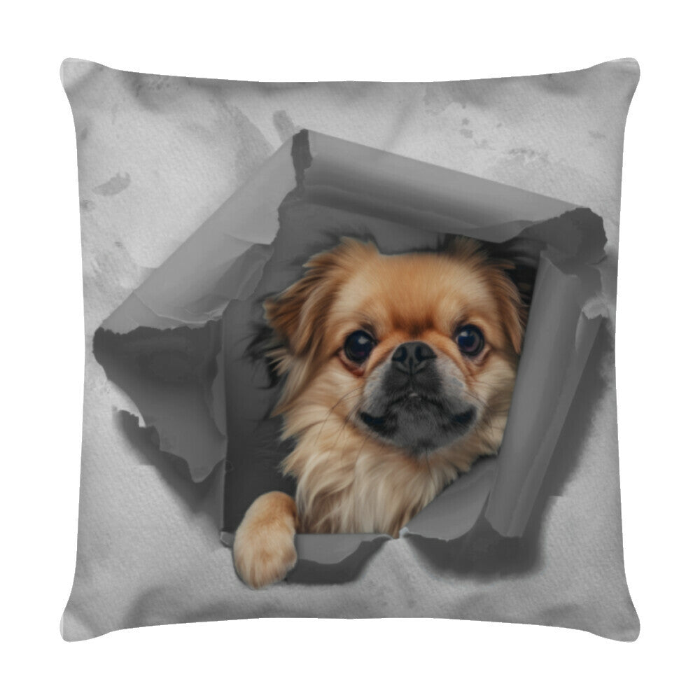 Kissen "Pekingese - Look" Weiß – hunde-shirt.de