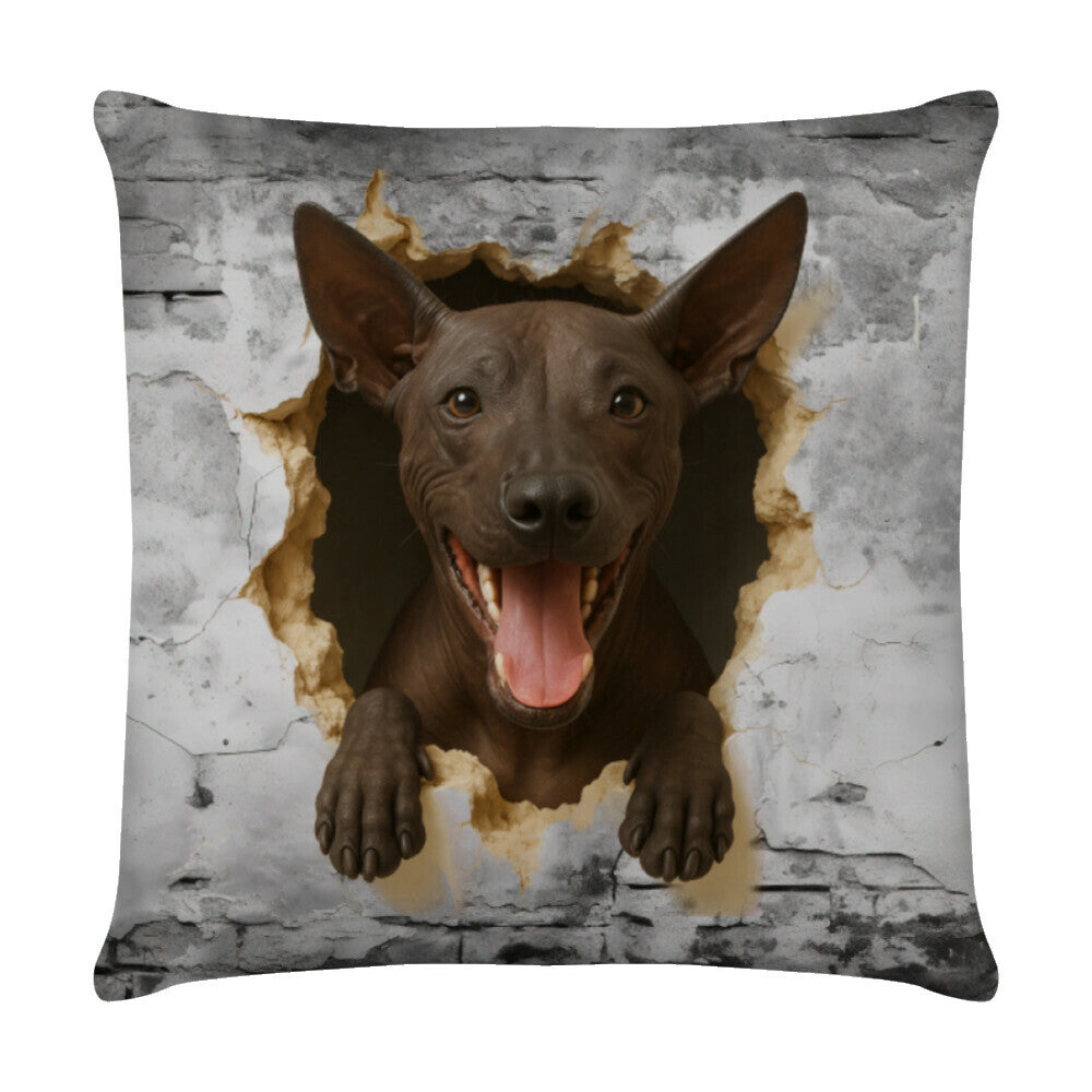 Kissen "Xoloitzcuintle - Wall" Weiß – hunde-shirt.de