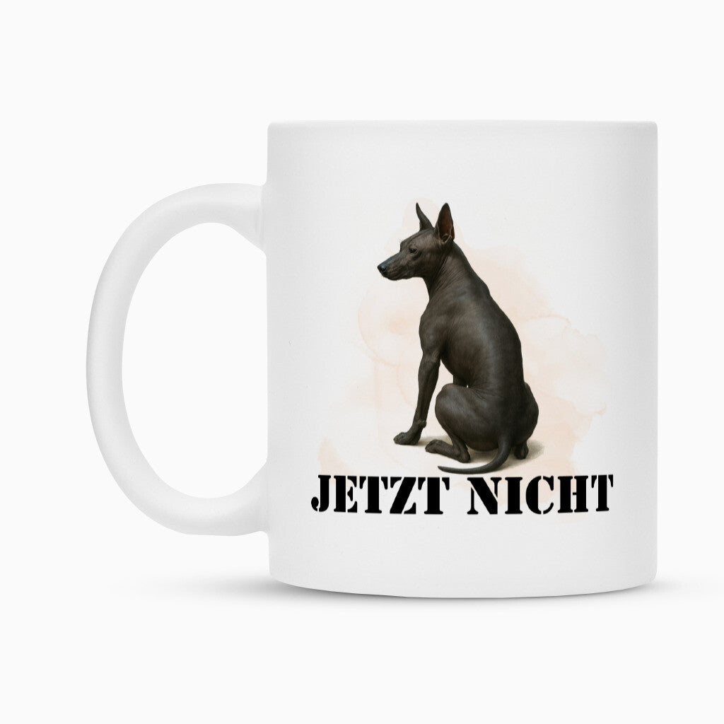 Tasse "Xolo - JETZT NICHT" – hunde-shirt.de