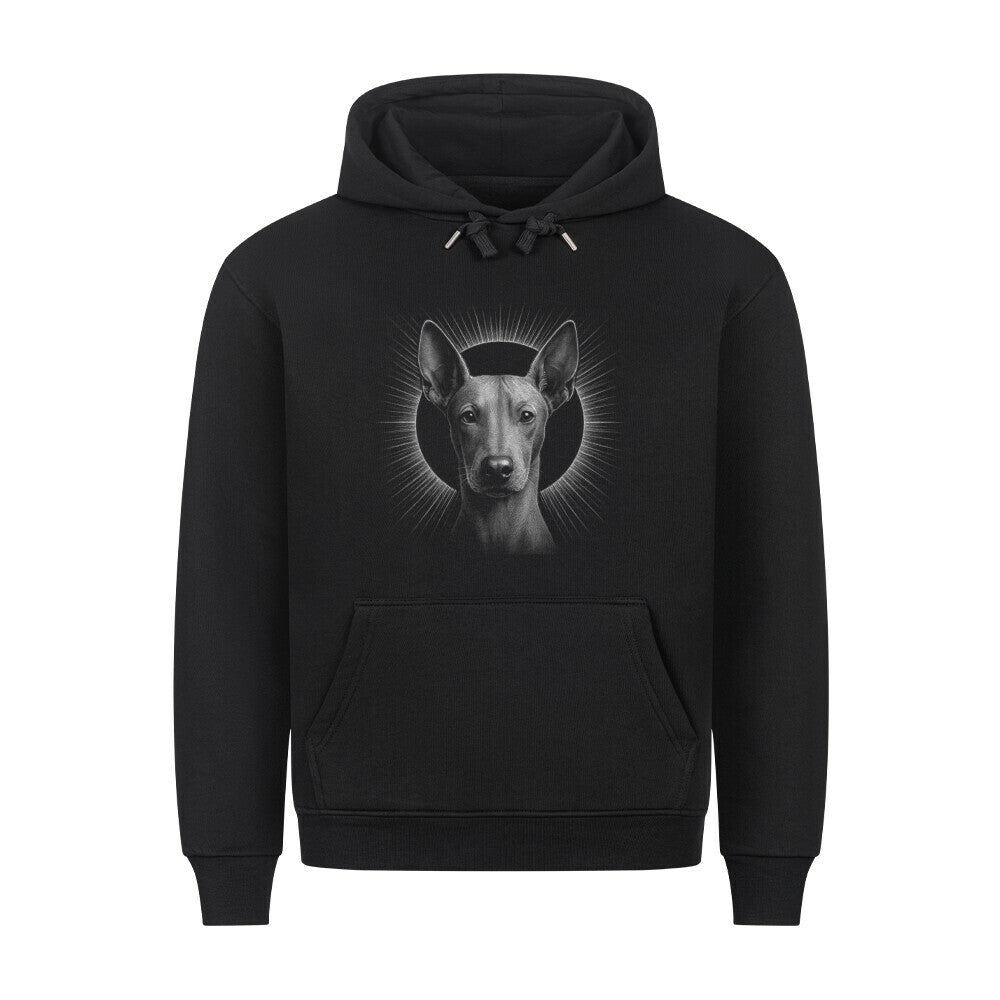 Premium Hoodie "Xolo - Shine" Schwarz – hunde-shirt.de