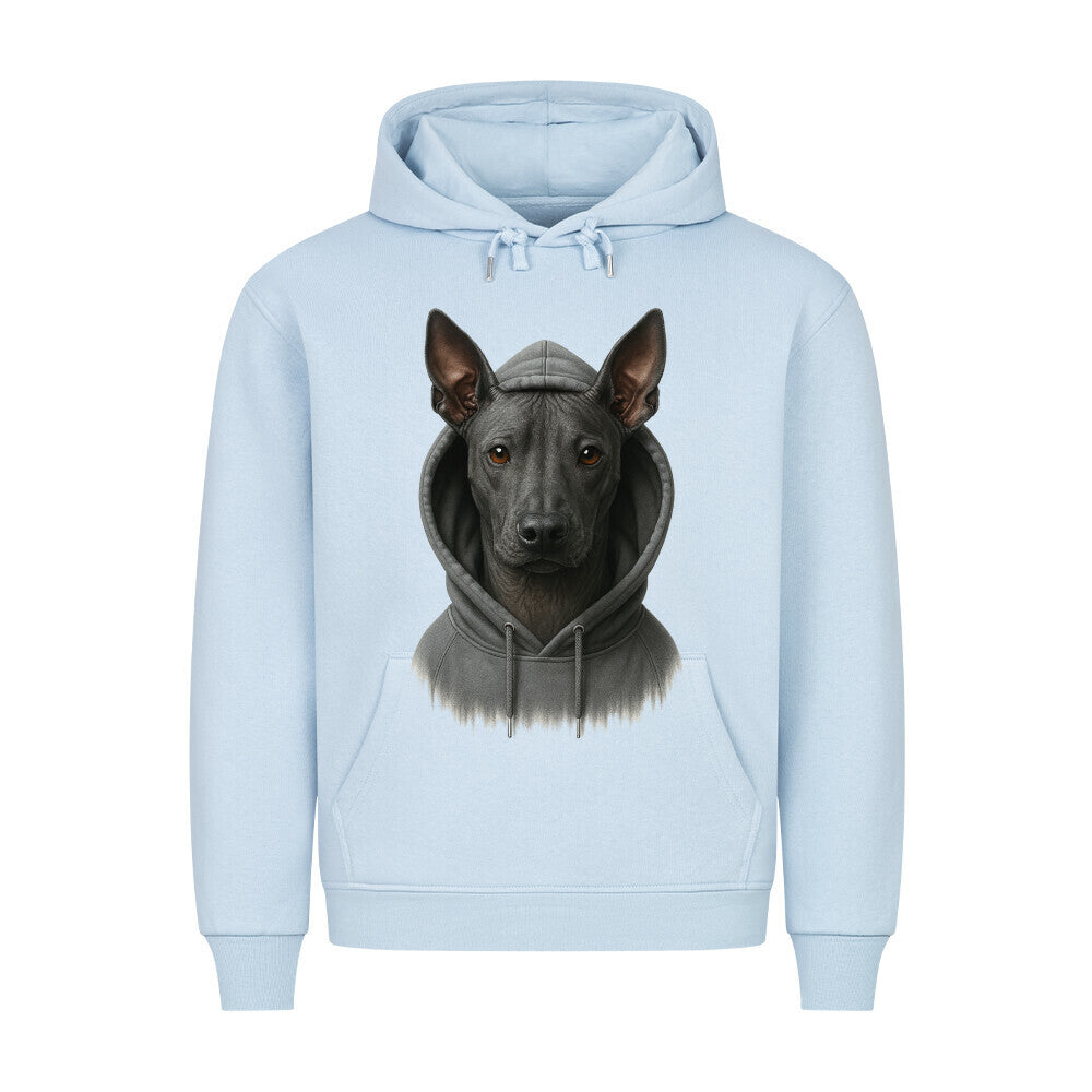 Premium Hoodie "Xolo - Hooded" Babyblau – hunde-shirt.de