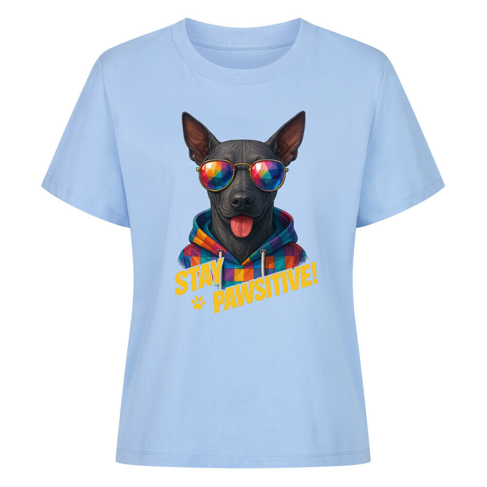 Premium Damen-Shirt "Xolo - Pawsitive!" Sky Blue – hunde-shirt.de