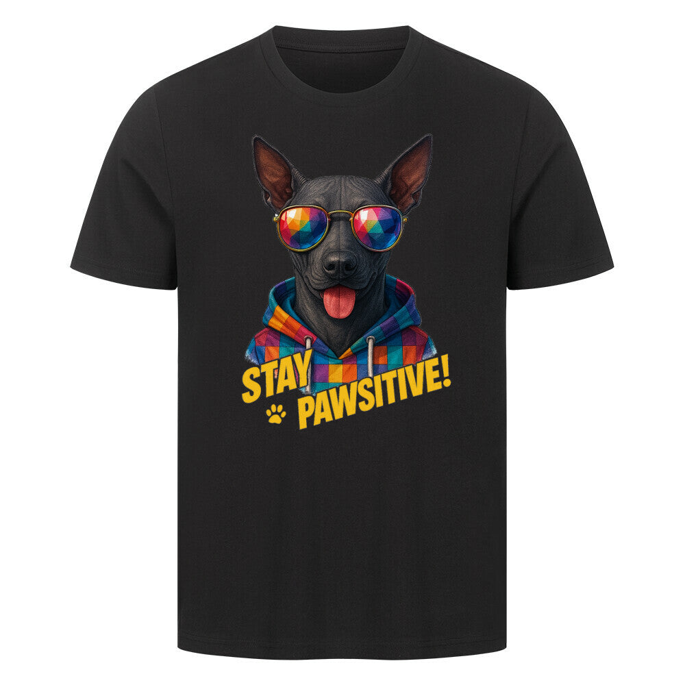Premium T-Shirt "Xolo - Pawsitive!" Schwarz – hunde-shirt.de