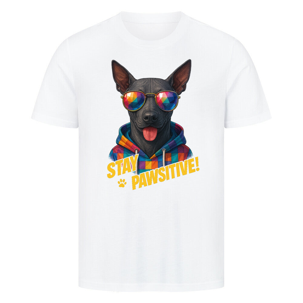Premium T-Shirt "Xolo - Pawsitive!" Weiß – hunde-shirt.de