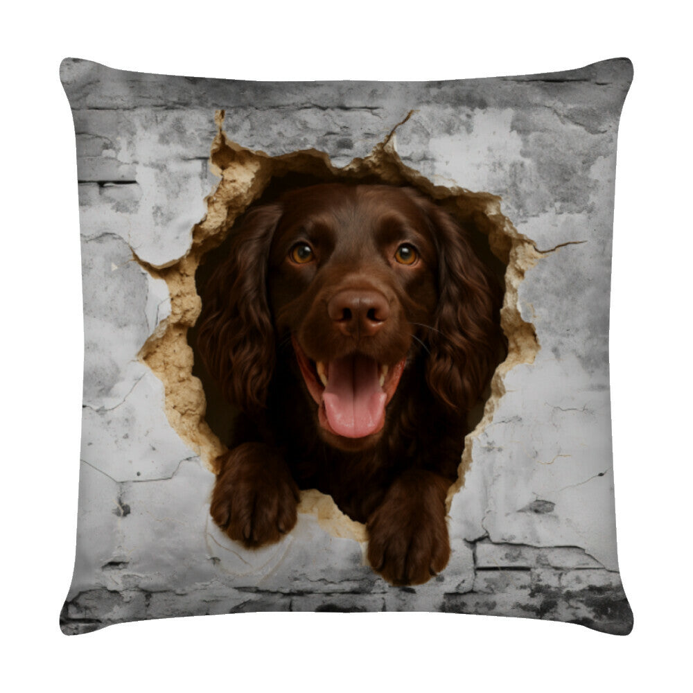 Kissen "Boykin Spaniel - Wall" Weiß – hunde-shirt.de