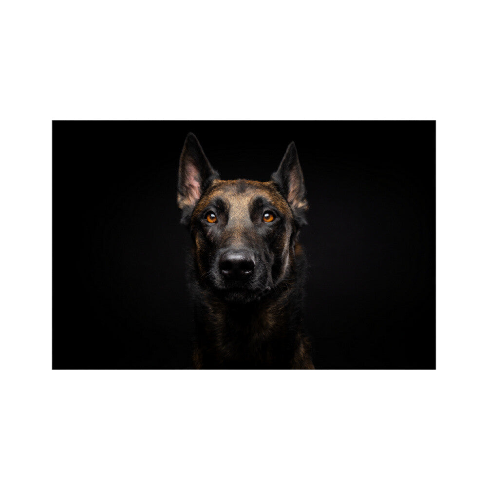 Fußmatte "Mali!" Weiß – hunde-shirt.de