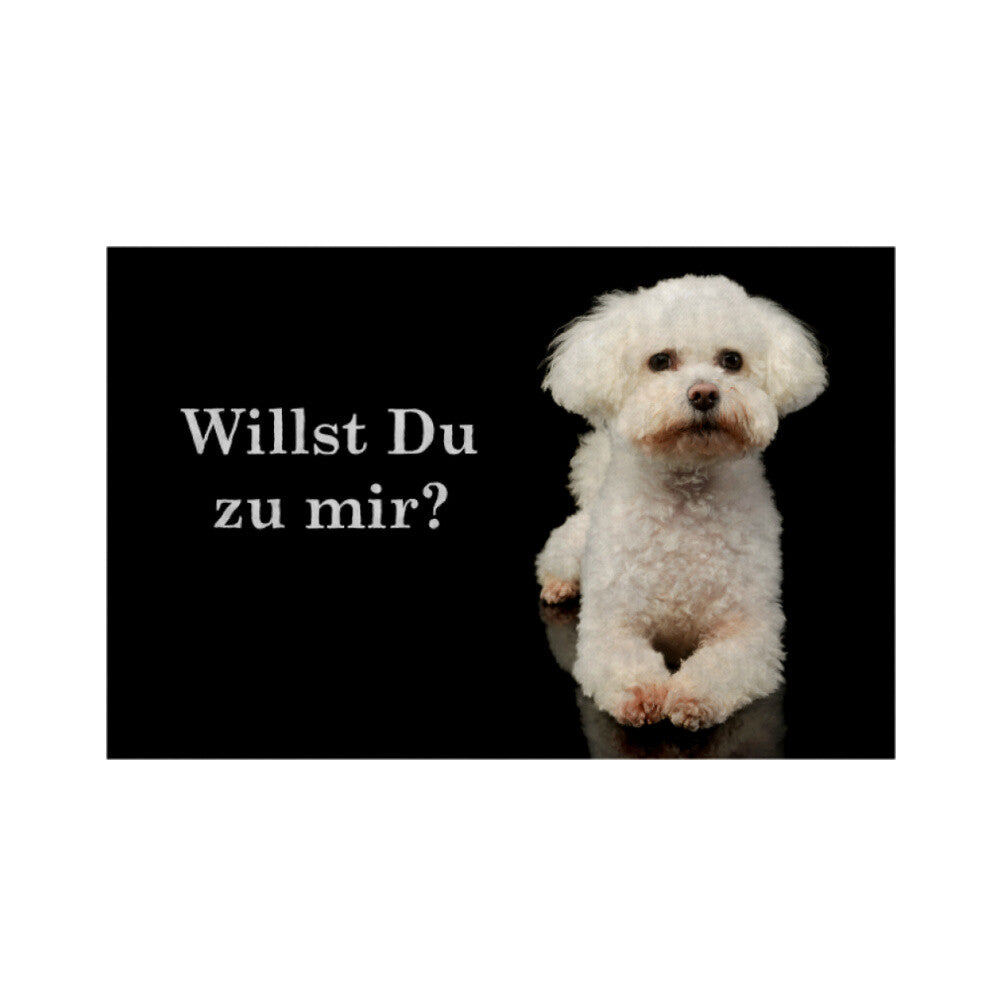 Fußmatte "Bologneser - Willst Du zu mir?" Weiß – hunde-shirt.de