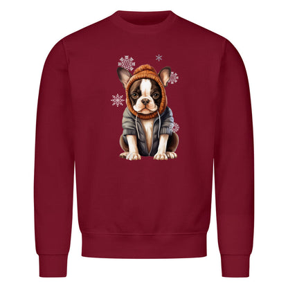 Premium Sweatshirt "Boston Terrier Winterbub" Burgunder – hunde-shirt.de