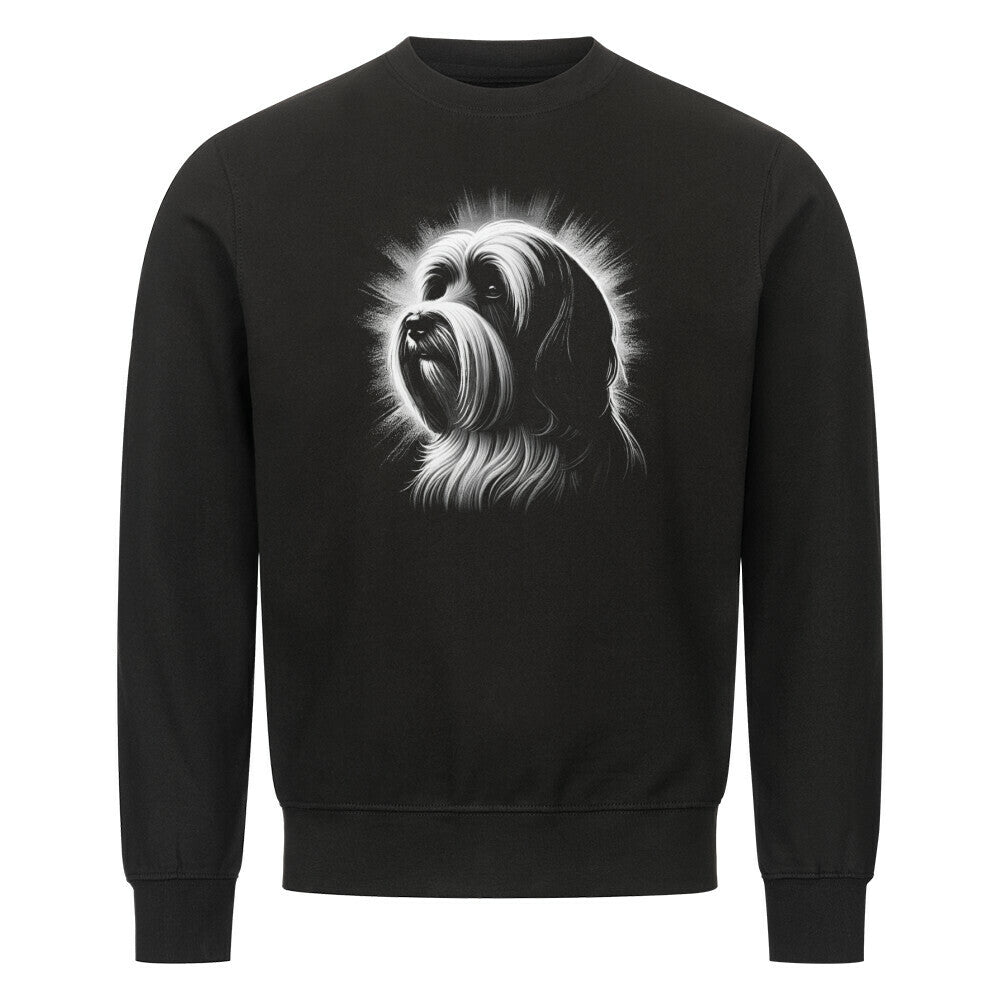 Premium Sweatshirt "Havaneser Shine" Schwarz – hunde-shirt.de