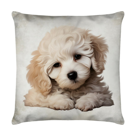 Kissen "Maltipoo - Sweet" Weiß – hunde-shirt.de