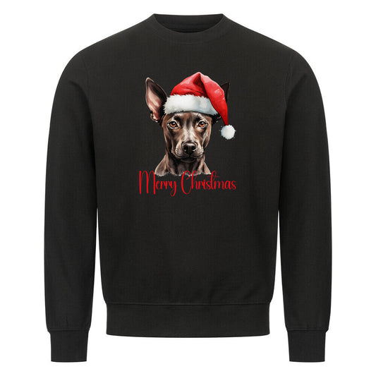 Premium Sweatshirt "Xolo - Merry Christmas" Schwarz – hunde-shirt.de