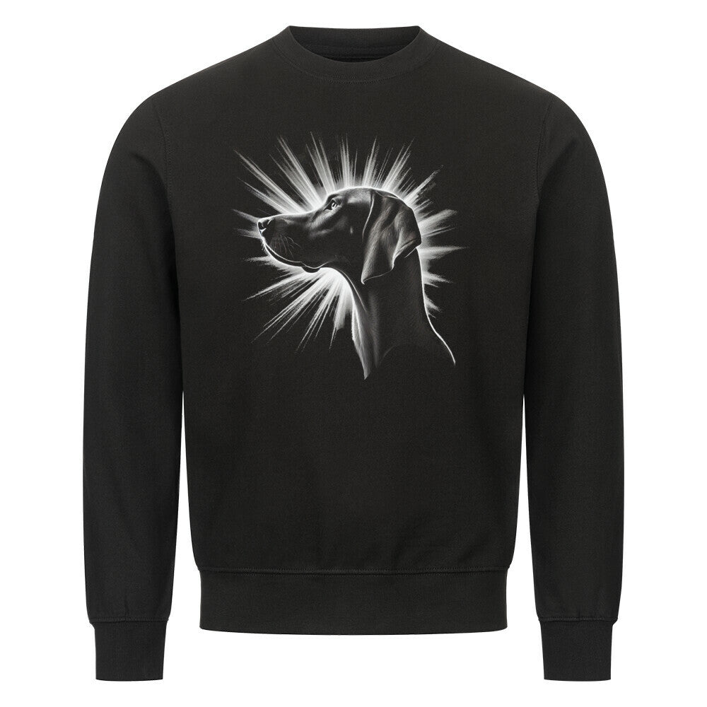 Premium Sweatshirt "Vizsla - Shine" Schwarz – hunde-shirt.de