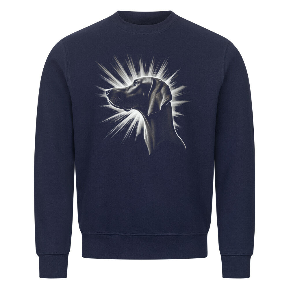 Premium Sweatshirt "Vizsla - Shine" Navy Blue – hunde-shirt.de