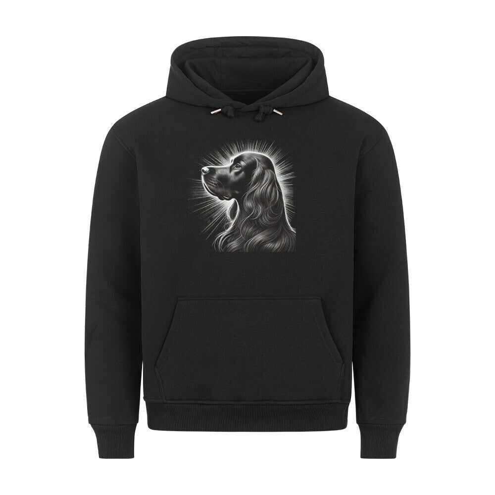Premium Hoodie "Irish Setter - Shine" Schwarz – hunde-shirt.de