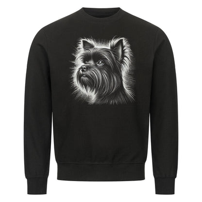 Premium Sweatshirt "Affenpinscher - Shine" Schwarz – hunde-shirt.de