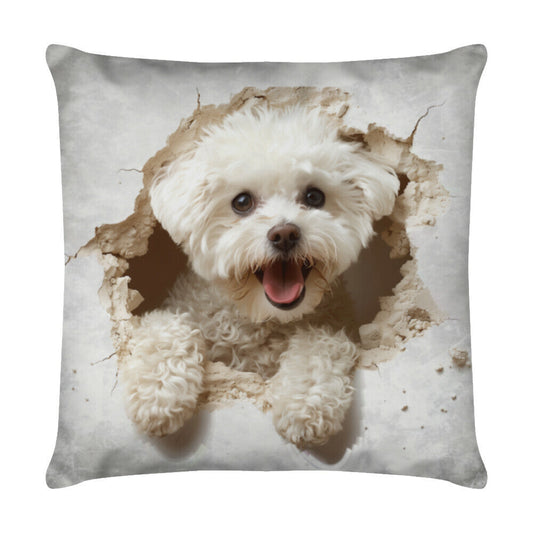 Kissen "Bichon Frisé - Look" Weiß – hunde-shirt.de