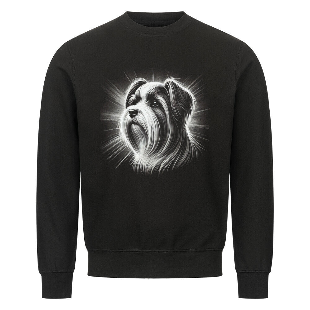 Premium Sweatshirt "Biewer Terrier - Shine" Schwarz – hunde-shirt.de