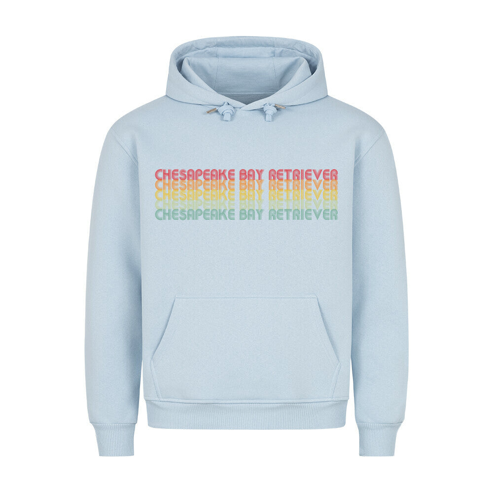 Premium Hoodie "Chesapeake Bay - Letters" Babyblau – hunde-shirt.de