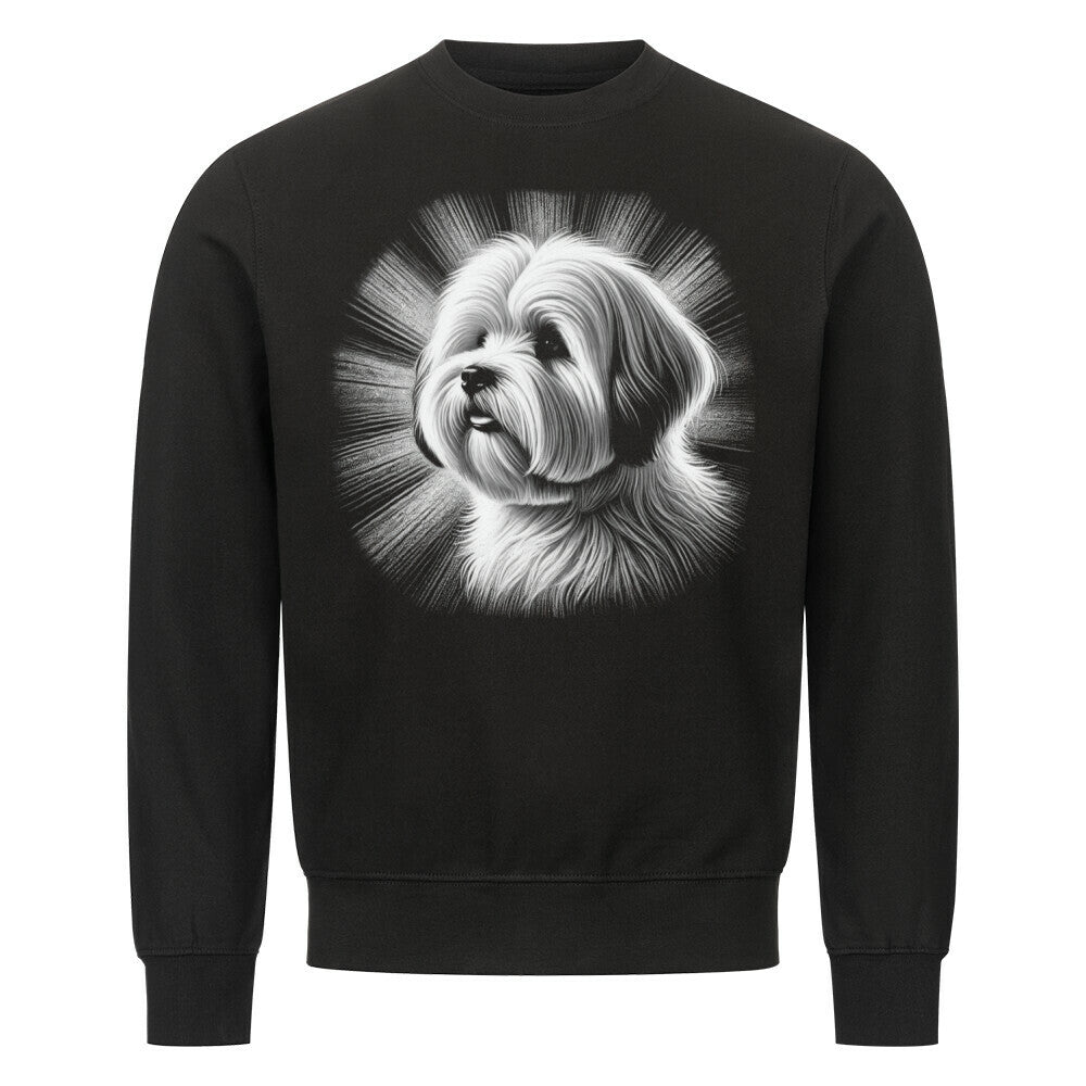 Premium Sweatshirt "Coton de Tuléar - Shine" Schwarz – hunde-shirt.de