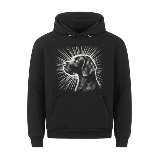 Premium Hoodie "Deutsch Drahthaar - Shine" Schwarz – hunde-shirt.de