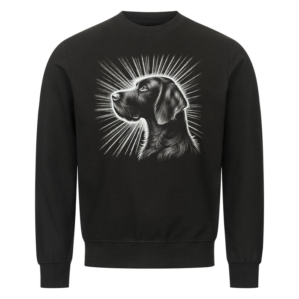 Premium Sweatshirt "Deutsch Drahthaar - Shine" Schwarz – hunde-shirt.de