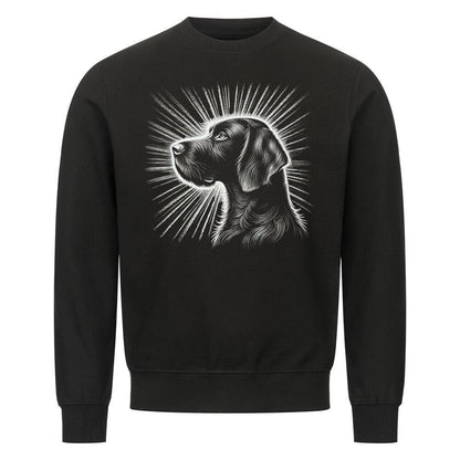 Premium Sweatshirt "Deutsch Drahthaar - Shine" Schwarz – hunde-shirt.de