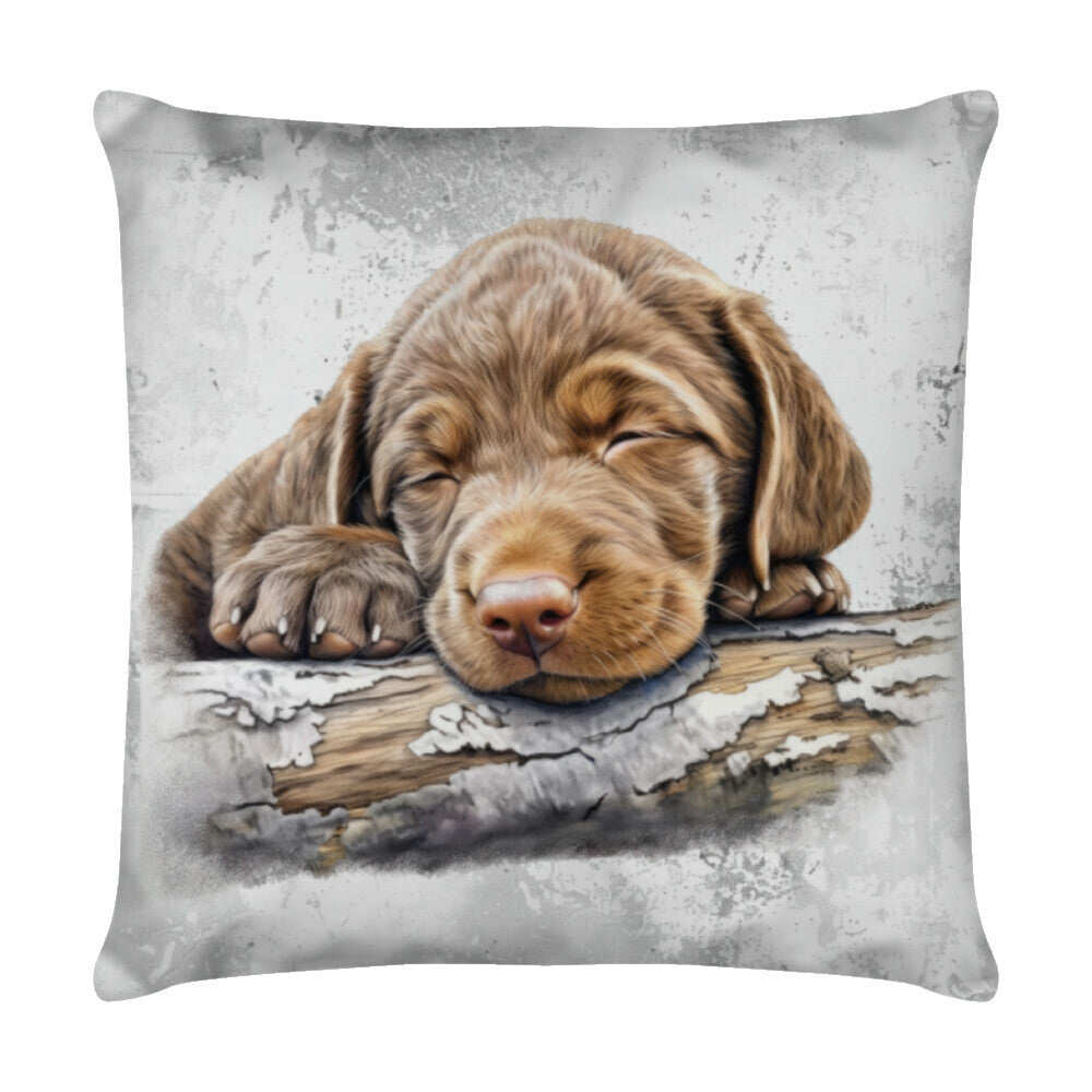 Kissen "Chesapeake Bay Retriever - Pause" Weiß – hunde-shirt.de