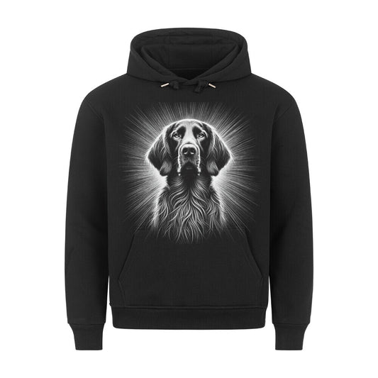 Premium Hoodie "Deutsch Langhaar- Shine" Schwarz – hunde-shirt.de