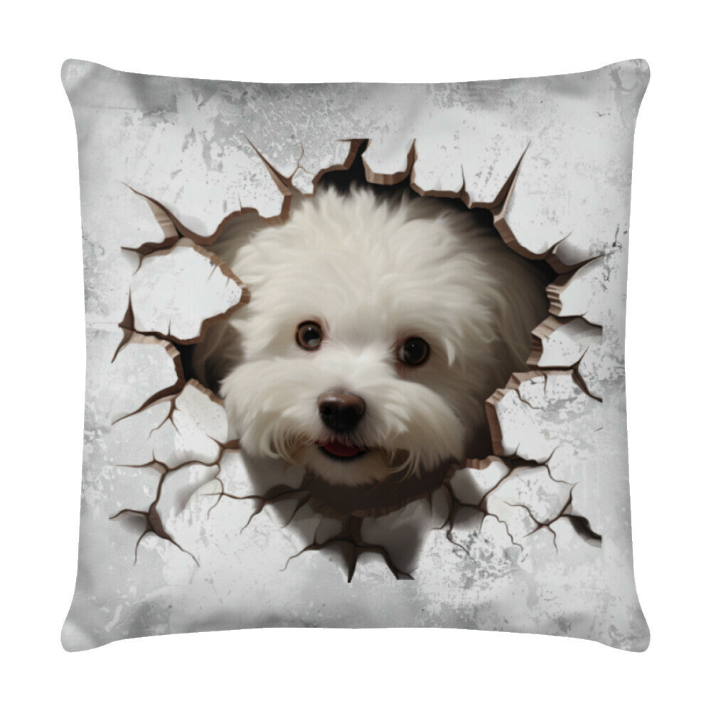Kissen "Bichon Frisé - Look" Weiß – hunde-shirt.de