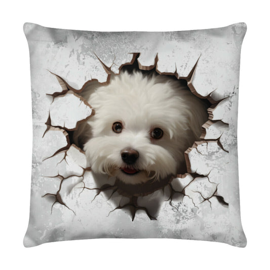 Kissen "Bichon Frisé - Look" Weiß – hunde-shirt.de