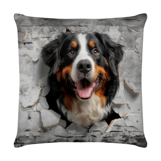Kissen "Berner Sennenhund - Look" Weiß – hunde-shirt.de