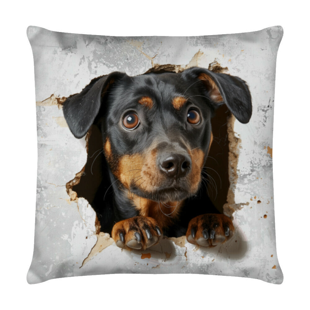 Kissen "Deutscher Pinscher - Look II" Weiß – hunde-shirt.de