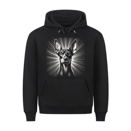 Premium Hoodie "Deutscher Pinscher - Star" Schwarz – hunde-shirt.de