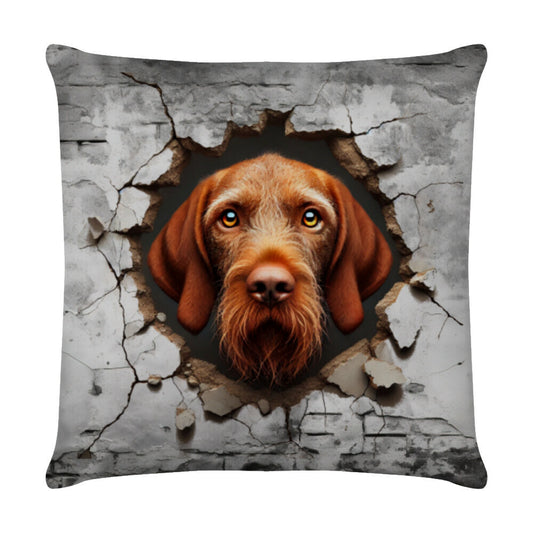 Kissen "Drahthaar Vizsla - Look" Weiß – hunde-shirt.de