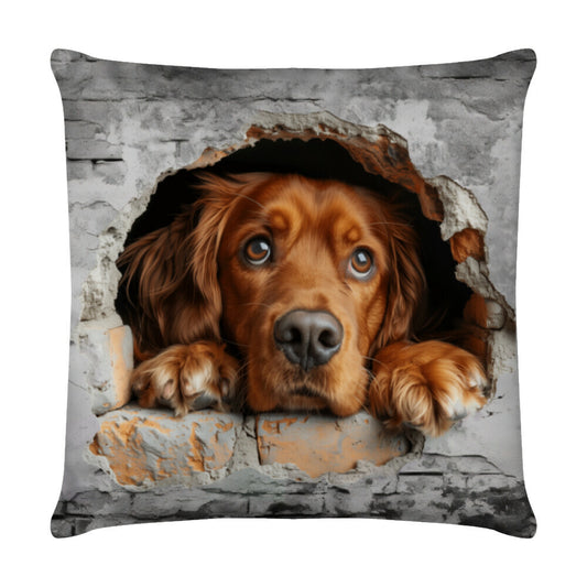 Kissen "Irish Setter - Look" Weiß – hunde-shirt.de