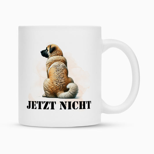 Tasse "Kangal - JETZT NICHT" Weiß – hunde-shirt.de
