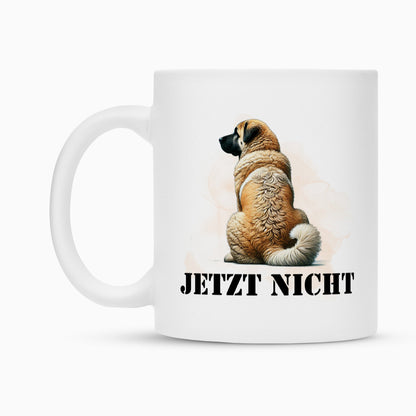 Tasse "Kangal - JETZT NICHT" – hunde-shirt.de