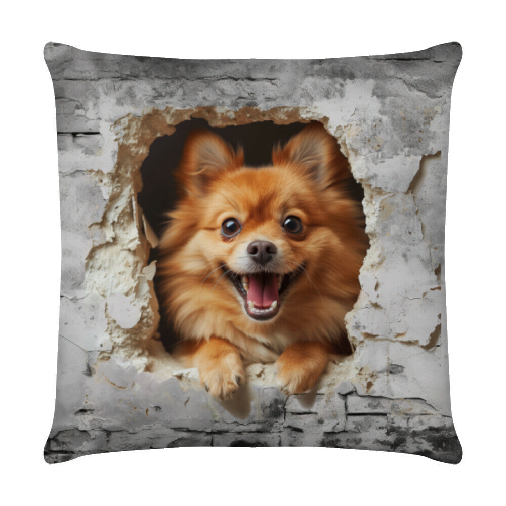 Kissen "Kleinspitz - Look" Weiß – hunde-shirt.de